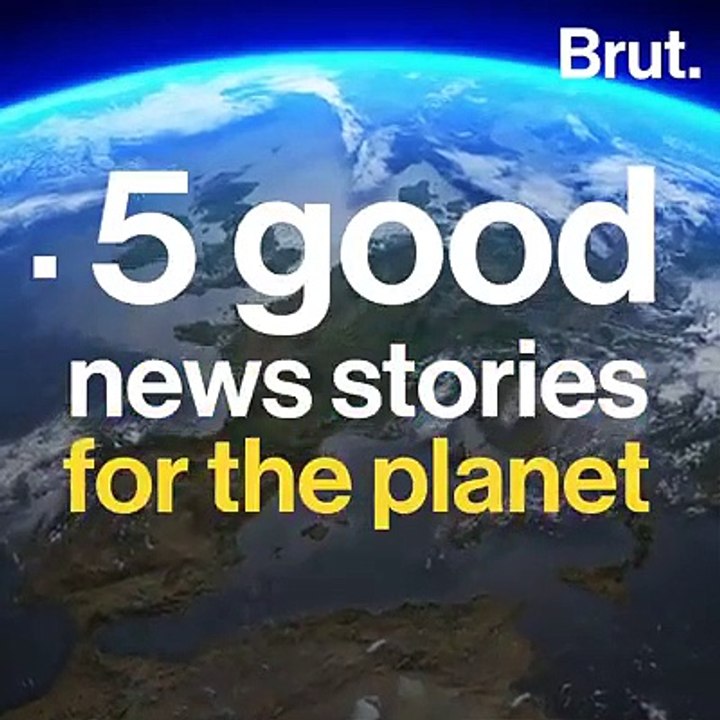 Pakistan's Billion Tree Tsunami Among 5 Good News Stories For The Planet