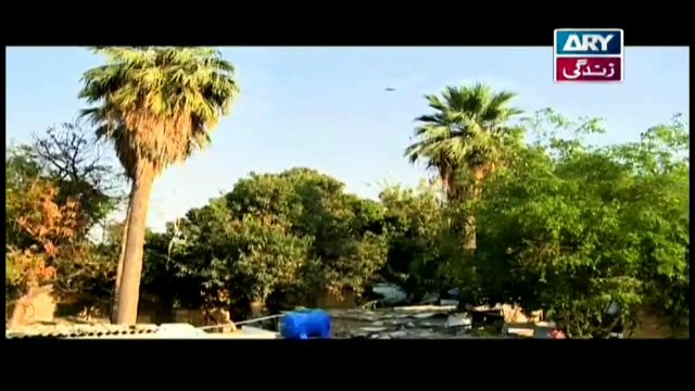 Mehmoodabad Ki Malkain Episode 05 & 06 on ARY Zindagi in High Quality 27th March 2019