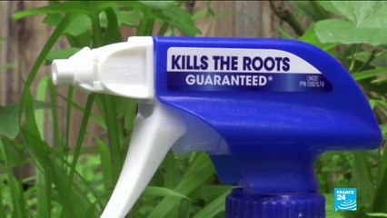 Procès Roundup : Monsanto condamné à payer plus de 80 millions de dollars