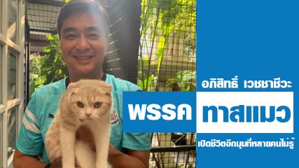 เปิดชีวิตอีกมุม อภิสิทธิ์ กับความทาสแมว 2 ชั้น