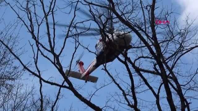 Boğaziçi Üniversiteli Arda, Belgrad Ormanında Aranıyor