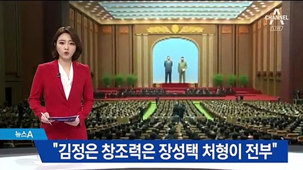 태영호 “김정은 창조력은 장성택 처형 뿐…체제 불안 가속”