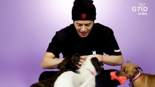 Jackson Wang Plays With Puppies While Answering Fan Questions.mp4-muxed