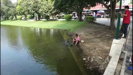 'Turtle man' spotted feeding dozens of reptiles at Thai palace