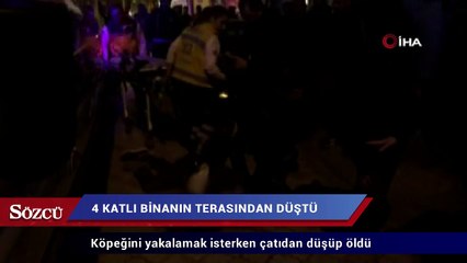 Köpeklerini almak isterken terastan düşüp, öldü