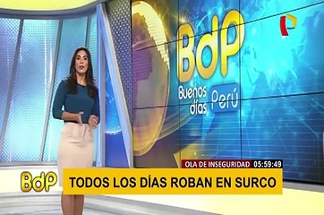 Surco: serenos son captados durmiendo en caseta de seguridad ciudadana