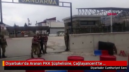 Diyarbakır'da Aranan PKK Şüphelisine, Çağlayancerit'te Operasyon