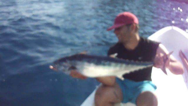 ANTALYA ADRASANDA MAVI ORKINOS AVI - adrasanbalik.com