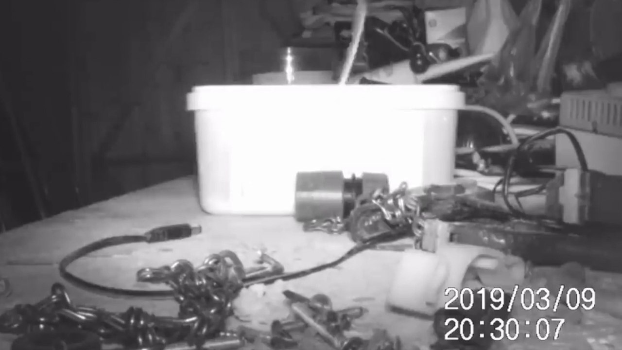 VIDÉO : Il installe une caméra pour comprendre qui range ses outils la nuit et fait une découverte incroyable