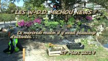 LES W-D.D. MICHOU NEWS - 27 MARS 2019 - PAU - PLANTATIONS DE FLEURS ET DIVERS TRAVAUX CE MERCREDI MATIN AU PARC BEAUMONT