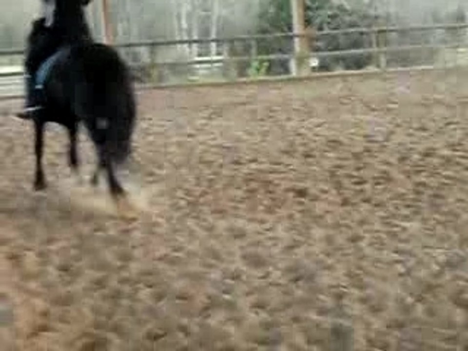 Frison 3