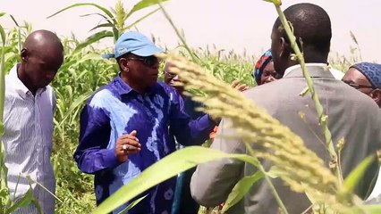 Déclaration du Collectif Citoyen pour la Défense du Foncier Périmètre Baobab (Bud Sénégal) de Sangalkam