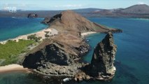 The Galapagos Islands Are Being Invaded by Alien Species