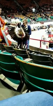Native American Man Takes Back Headdress from Dancing Woman