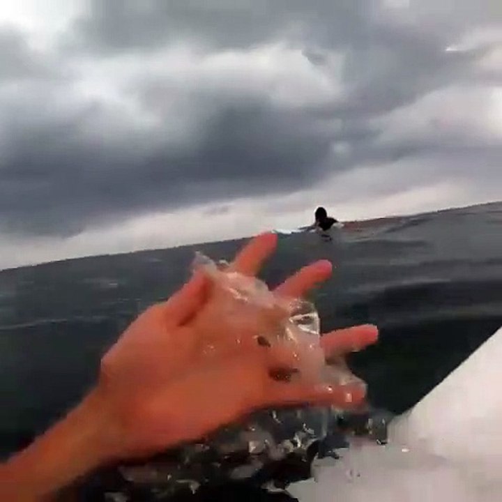 Ce surfeur nous montre qu'en mer il y a bien plus dangereux que les requins