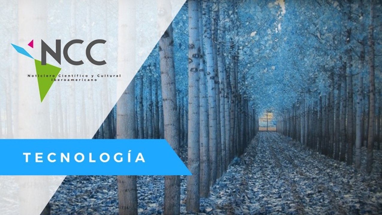 Fotografía científica: arte al servicio de la ciencia