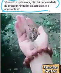 When there is love, there is no need to arrest anyone at your side