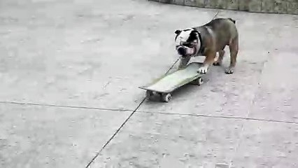 り캄보디아카지노 ≤≤TTS332、CㅇM≥≥