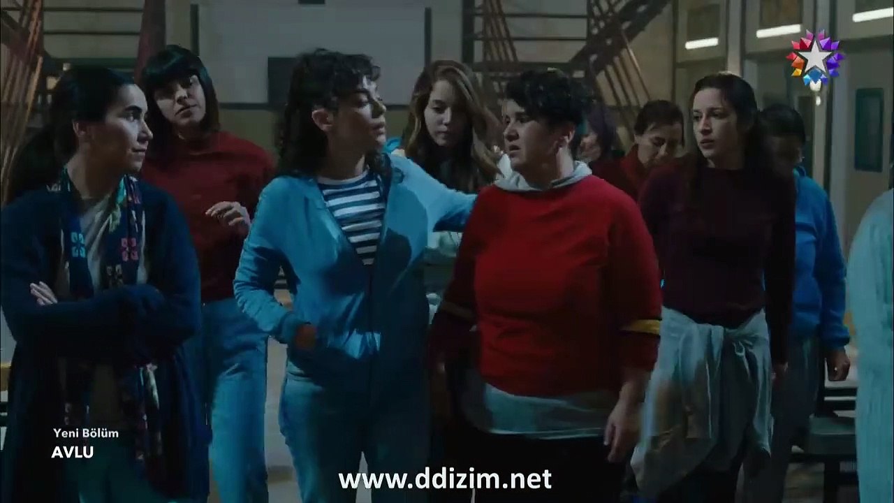 avl 2