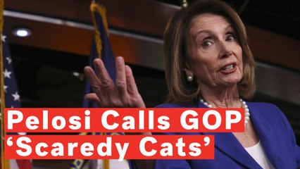 下载视频: ‘Fear Of The Truth’: Nancy Pelosi Hits At 'Scaredy Cat' Republicans