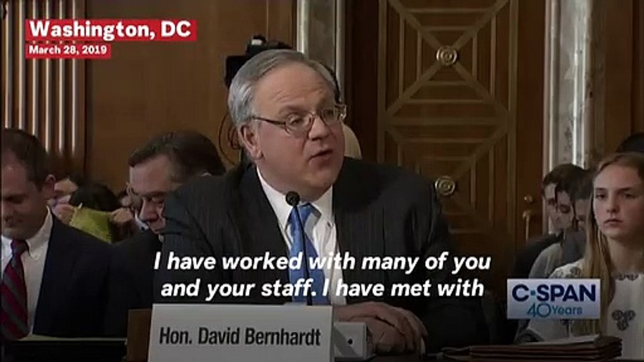 Greenpeace Activists Crash Congressional Hearing Dressed As Swamp Monsters To Protest Oil Ties