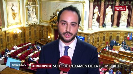Sécurité routière / Violences dans les manifestations / Remaniement - Sénat 360 (28/03/2019)
