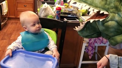 Baby and Animals Toy Fun and Fails - Funny Baby Video