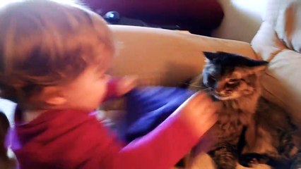 Funny Baby and Cat Playing Together - Fun and Fails Baby Video