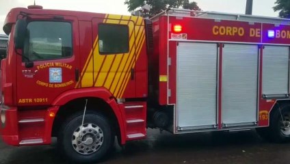 Árvore cai e interdita via na Região do Colina Verde