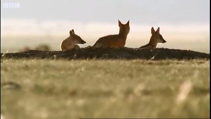 カ아시아카지노 ≤≤TTS332、CㅇM≥≥