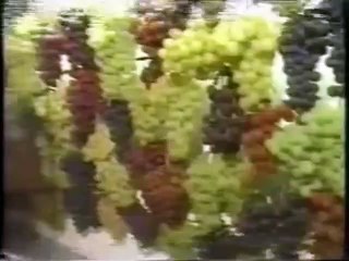 Ai Ai - Amazing Moments 😮