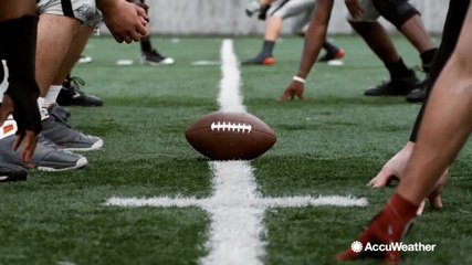 Natural Grass vs. Astroturf: What's the Main Difference? ⚽