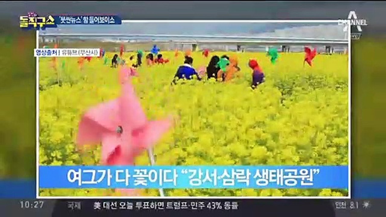 [핫플]사투리로 전하는 부산 소식 ‘붓싼뉴스’ 인기