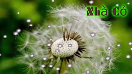 Audio đam mỹ: Dị Thế Lưu Đày: 341-343
