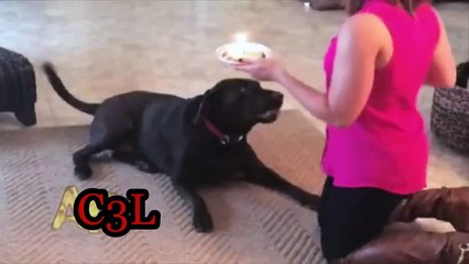 ▩ 카지노게임추천 맥스바카라사이트⊆⊆ＭＳＴ272、C O M⊇⊇ ♥에게 소개했었다.♥