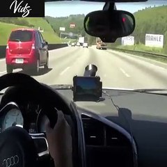 Audi R8 Vs Kawasaki 1000c ZX10R death Race