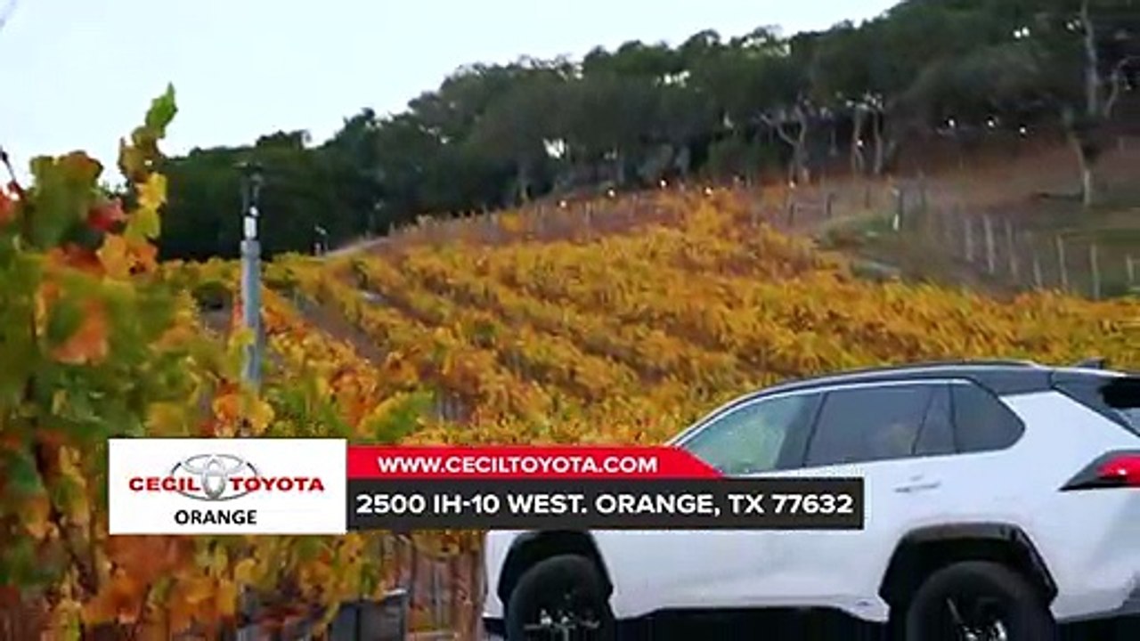 2019 Toyota RAV4 Beaumont TX | Toyota RAV4 Dealer Beaumont TX