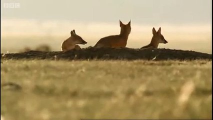 え xo바카라 마카오카지노추천⊆⊆ＭＳＴ272、C O M⊇⊇인터넷카지노추천 つ남 '현석'이 펼치つ