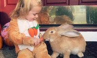 Dev tavşan ile küçük kızın dostluğu izlenme rekorları kırıyor