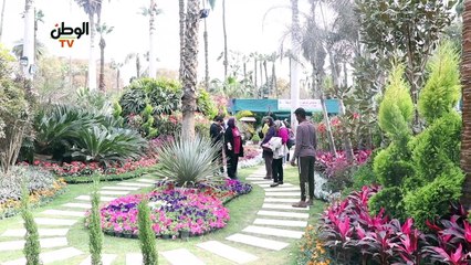 ثمنها 1500 جنيه.. عصفور الجنة أغلى وردة في معرض الزهور