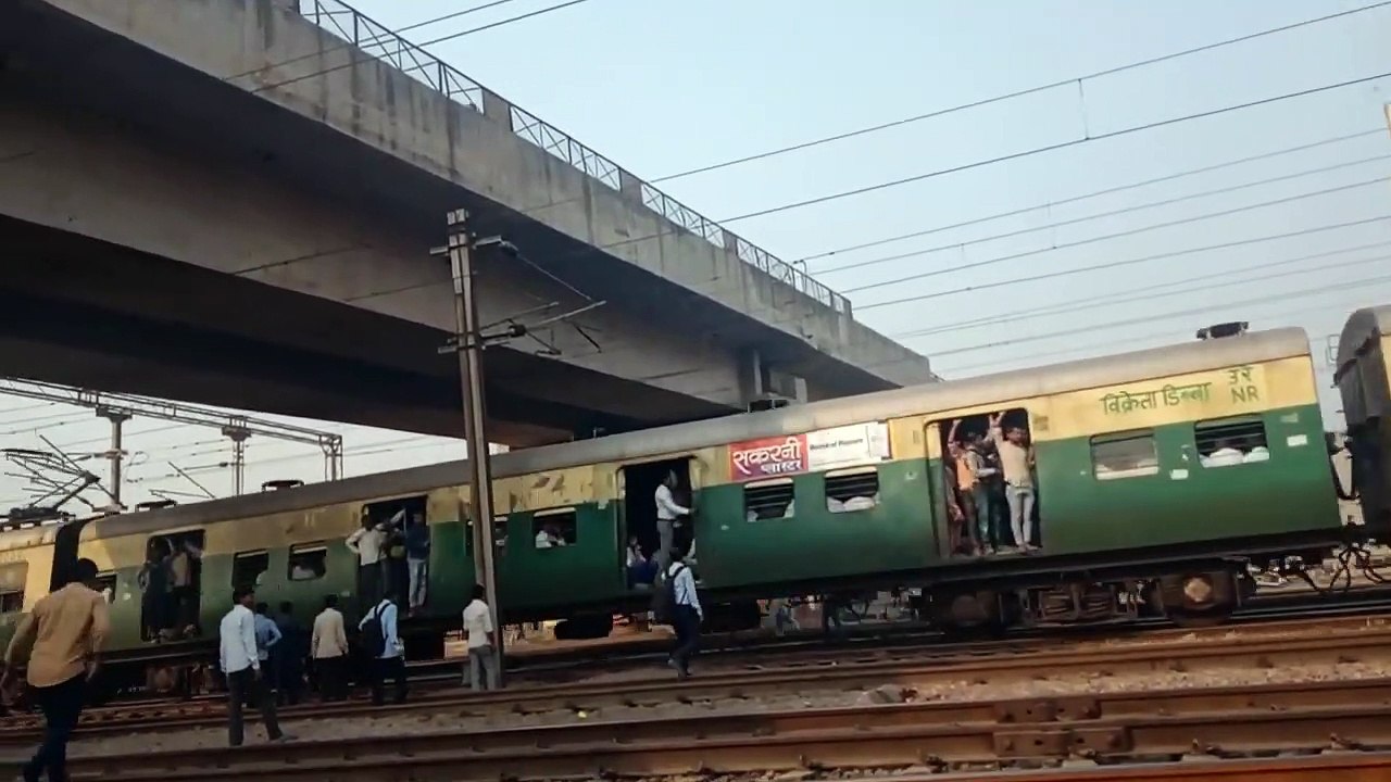 People Walk Train Track like Park