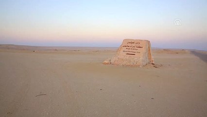 Mısır Çöllerindeki 40 Milyon Yıllık Balina Fosilleri - Kahire