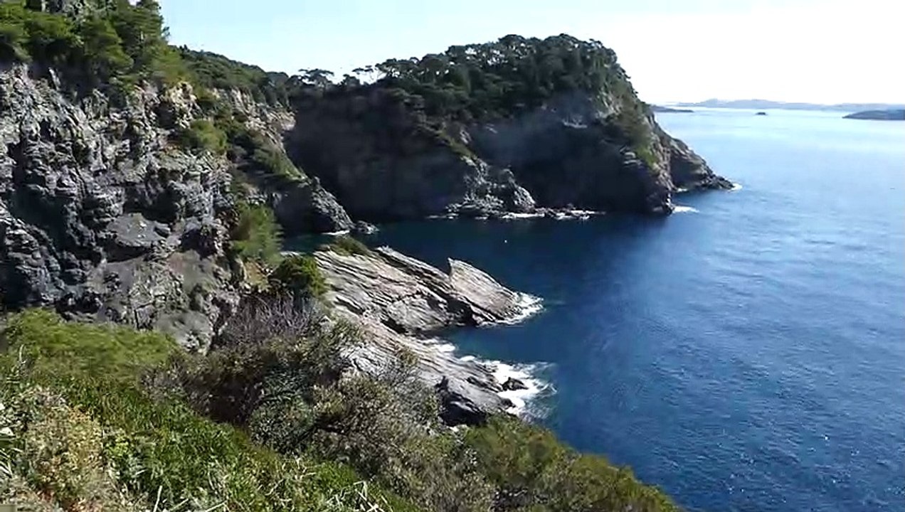 GIENS-002