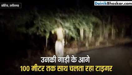 Video : जब अधिकारियों का टाइगर से हुआ सामना
