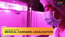 Medical Cannabis Legalisation in Thailand