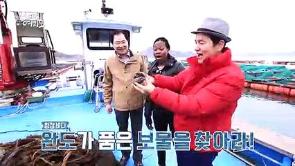 [예고] 청정 바다에 숨겨진 건강한 보물을 찾아라! '건강의 섬, 완도 여행'