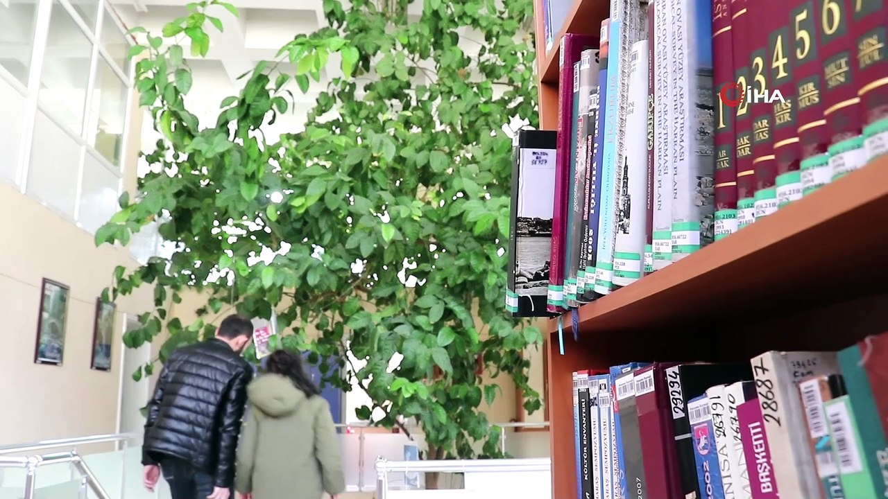Bu kütüphane 51 yıl önce dikilen limon ağacı sa...