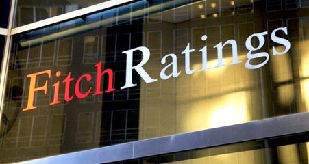Fitch: Türk Bankalarının Önemli Tamponları Var