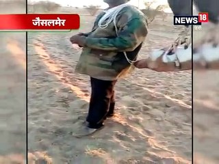 हिरण के शिकार का वीडियो हुआ वायरल, पुलिस जुटी शिकारियों की तलाश में