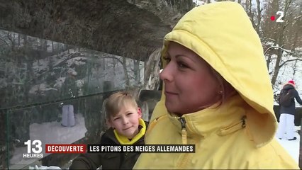 Feuilleton : les contrées sauvages de l'Est (5/5)